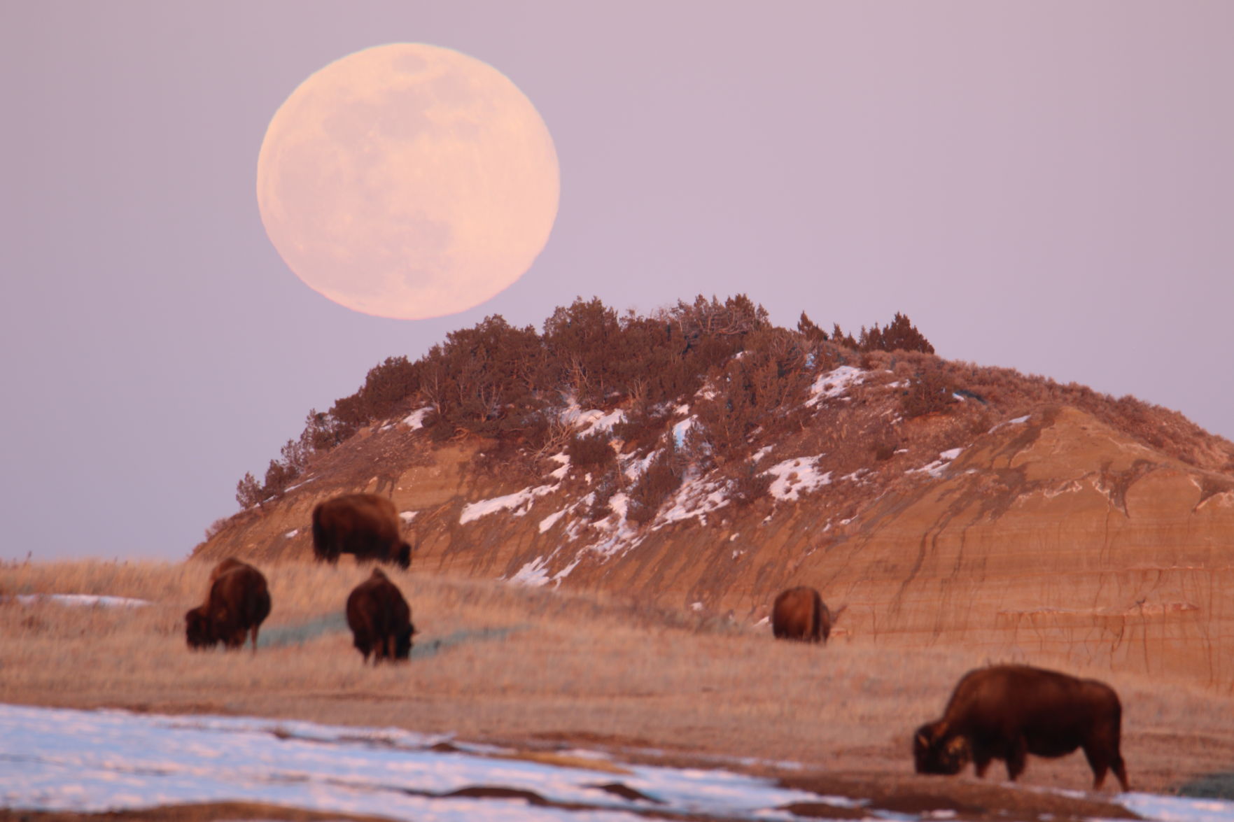 Full Moon Rising Over the Badlands